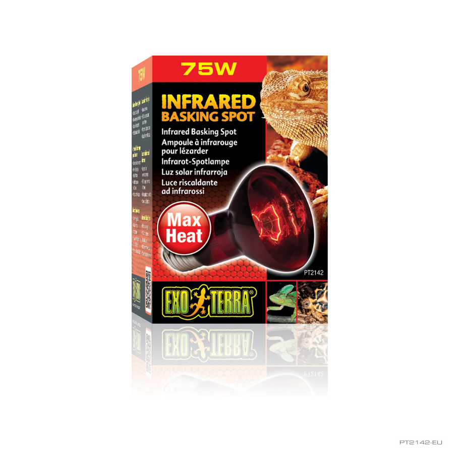 Exoterra Bombilla para reptiles Infrared Basking Spot, , large Imagen numero 2